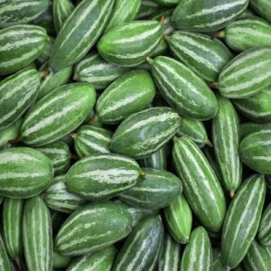 green pointed gourd
