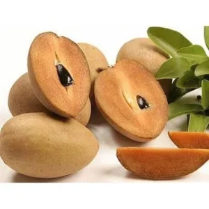 sapota (chikoo)