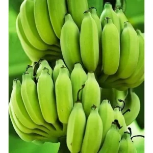 green banana