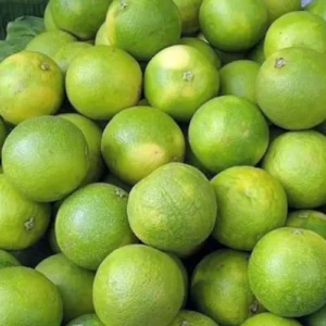 sweet lime (mosambi)