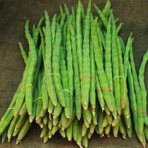 fresh drumsticks