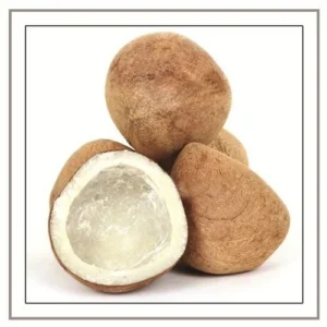 dry coconut