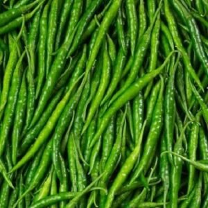 indian green chilli (g4)