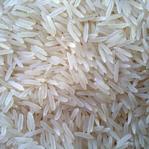 1509 basmati rice