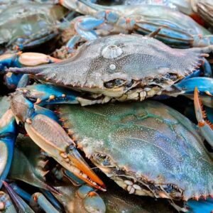 crab seafood