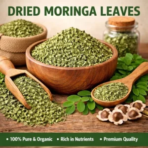 moringa dry leaves