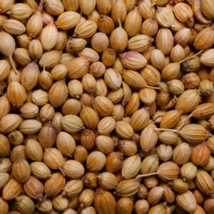 coriander seeds